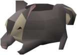 Black Chinchompa