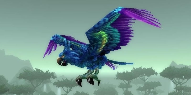 Hyacinth Macaw